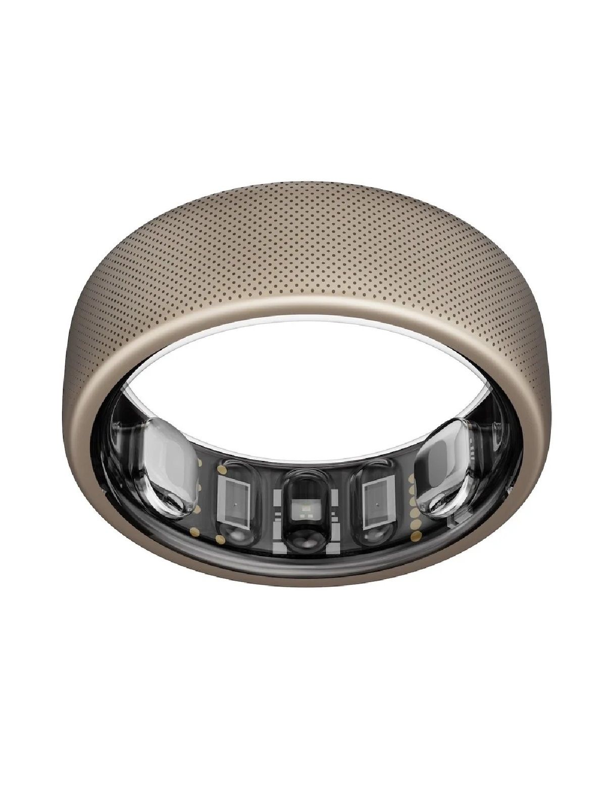 健身环新手教程 新手计划